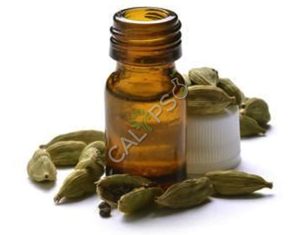 Acquista Pure Cardamoms Oil Essential Oil